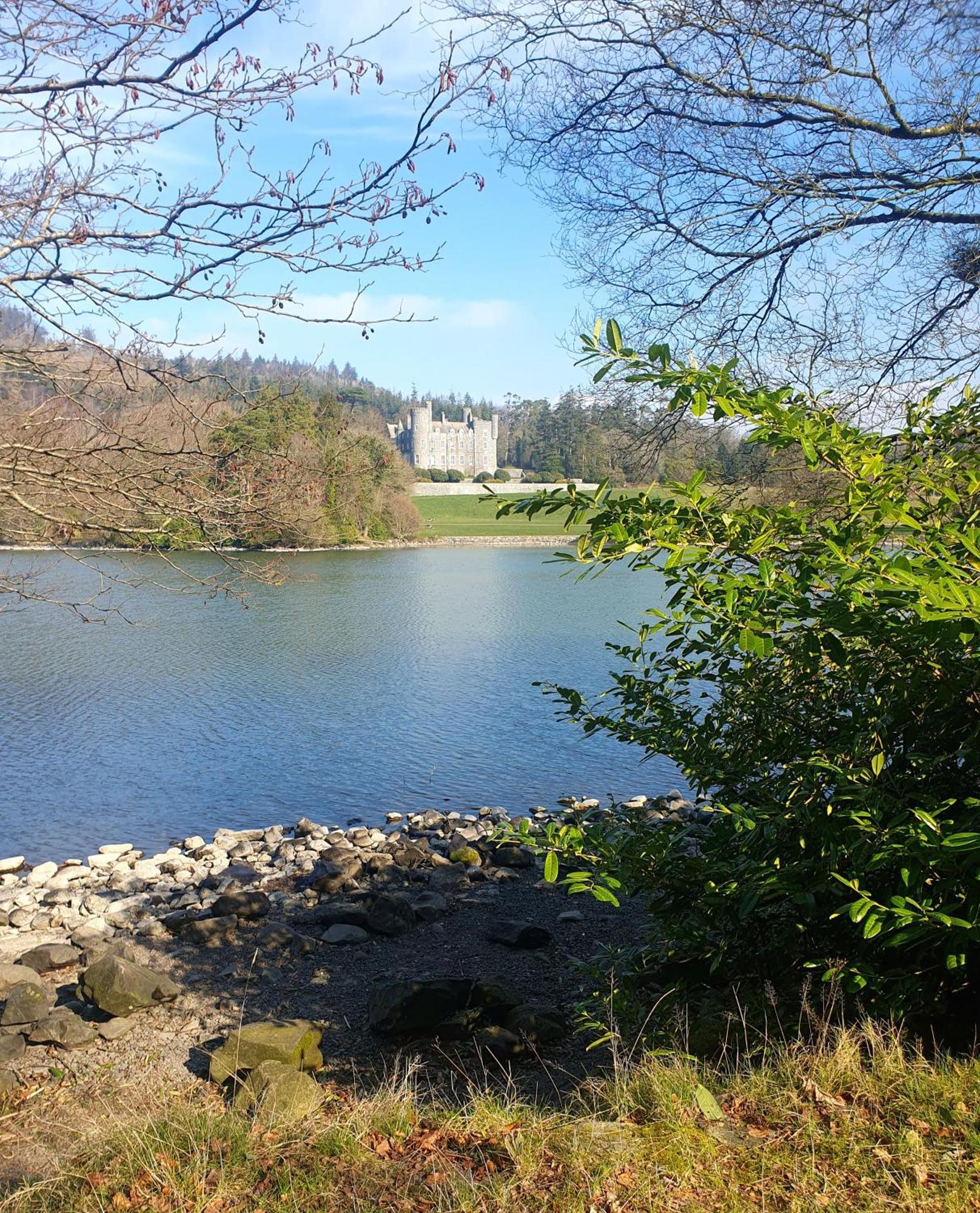 Whitehill Cottage Castlewellan Exteriör bild